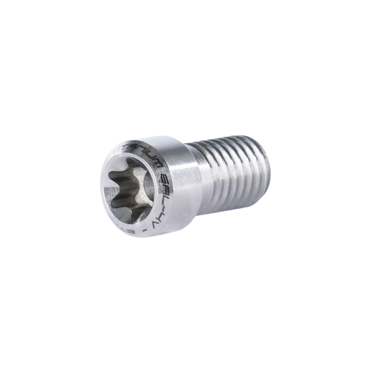 Ethic DTC Titanium Clamp Screw Raw